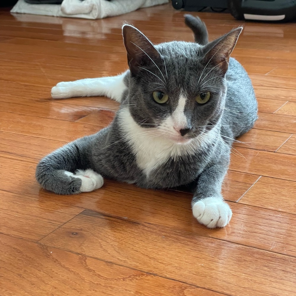 Meet your Posher, Becky